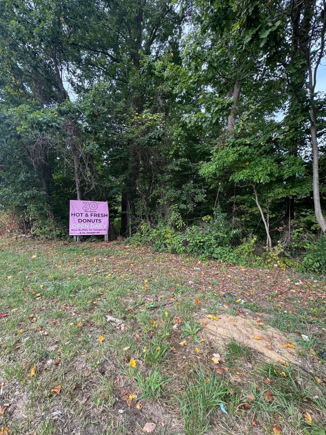 7352 Red Arrow Hwy, Stevensville, MI 49127 - photo 1