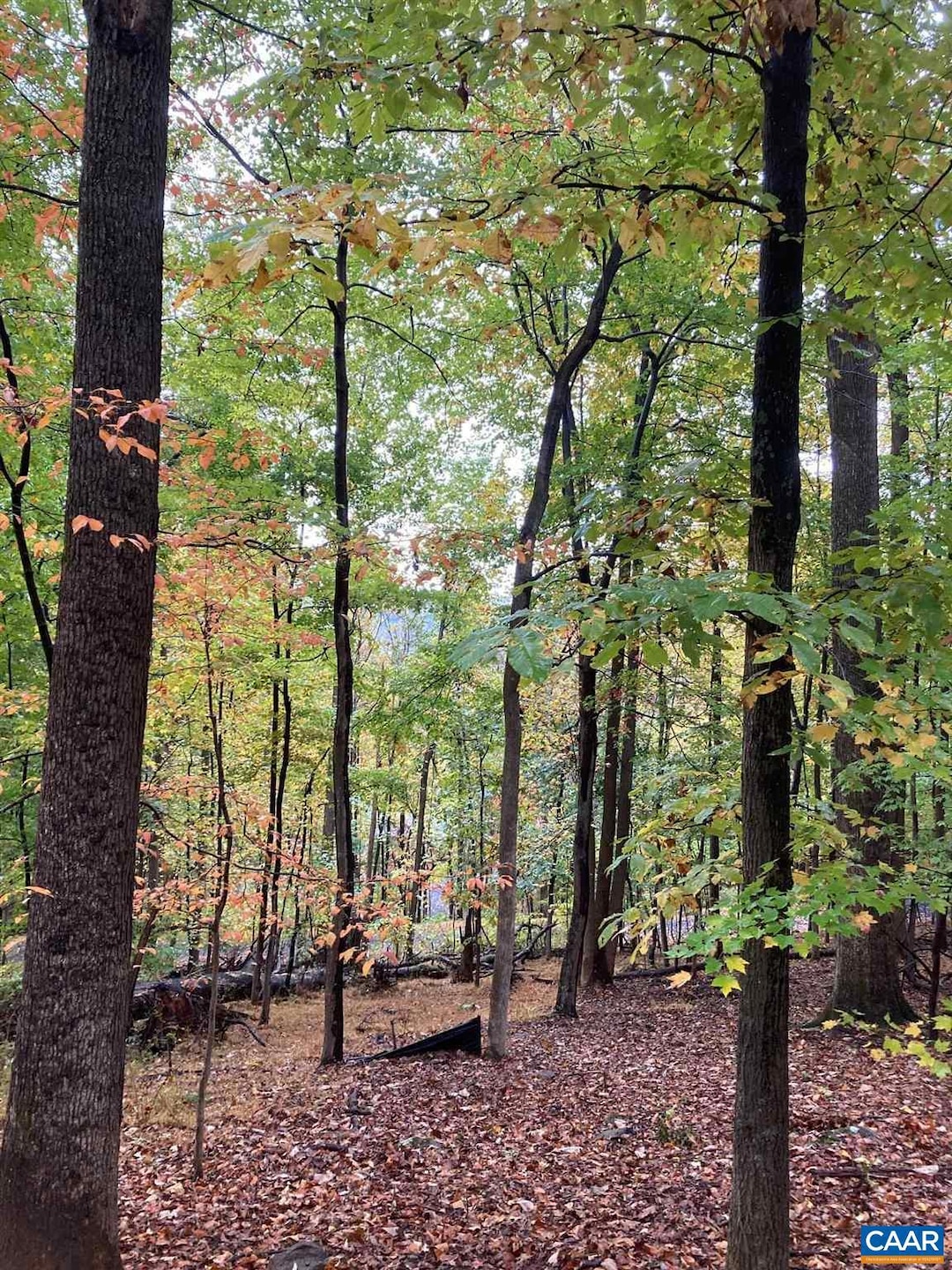 Sold $30,000 • Co-Listing Agent