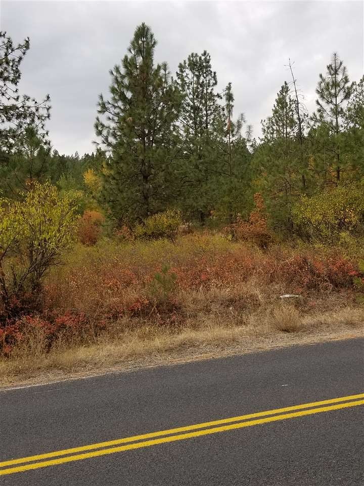 16015 N Austin Parcel B Rd, Spokane, WA 99208 - photo 1