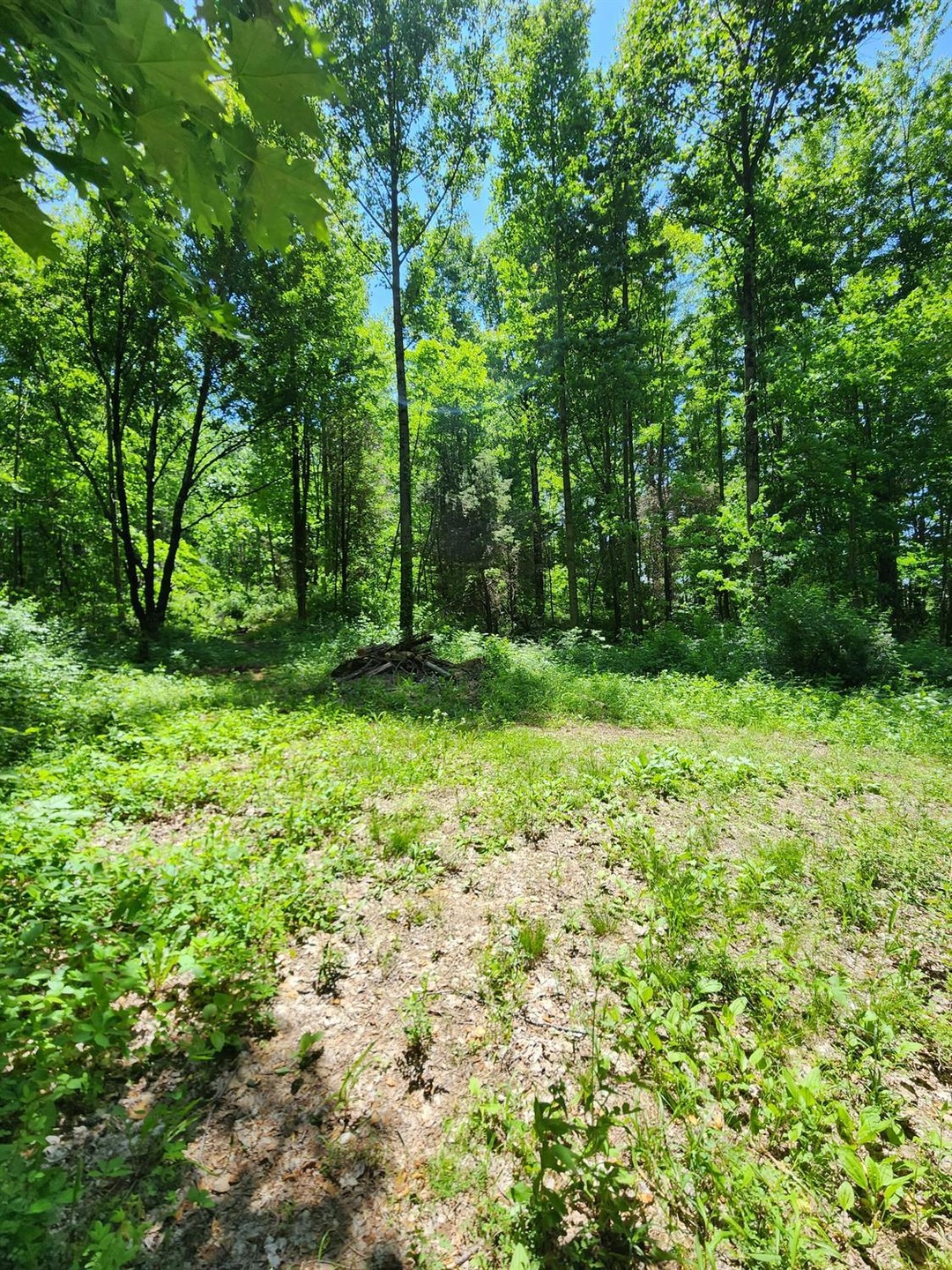 0 Co Road 800 unit 199206, Milan, IN 47031 - photo 1