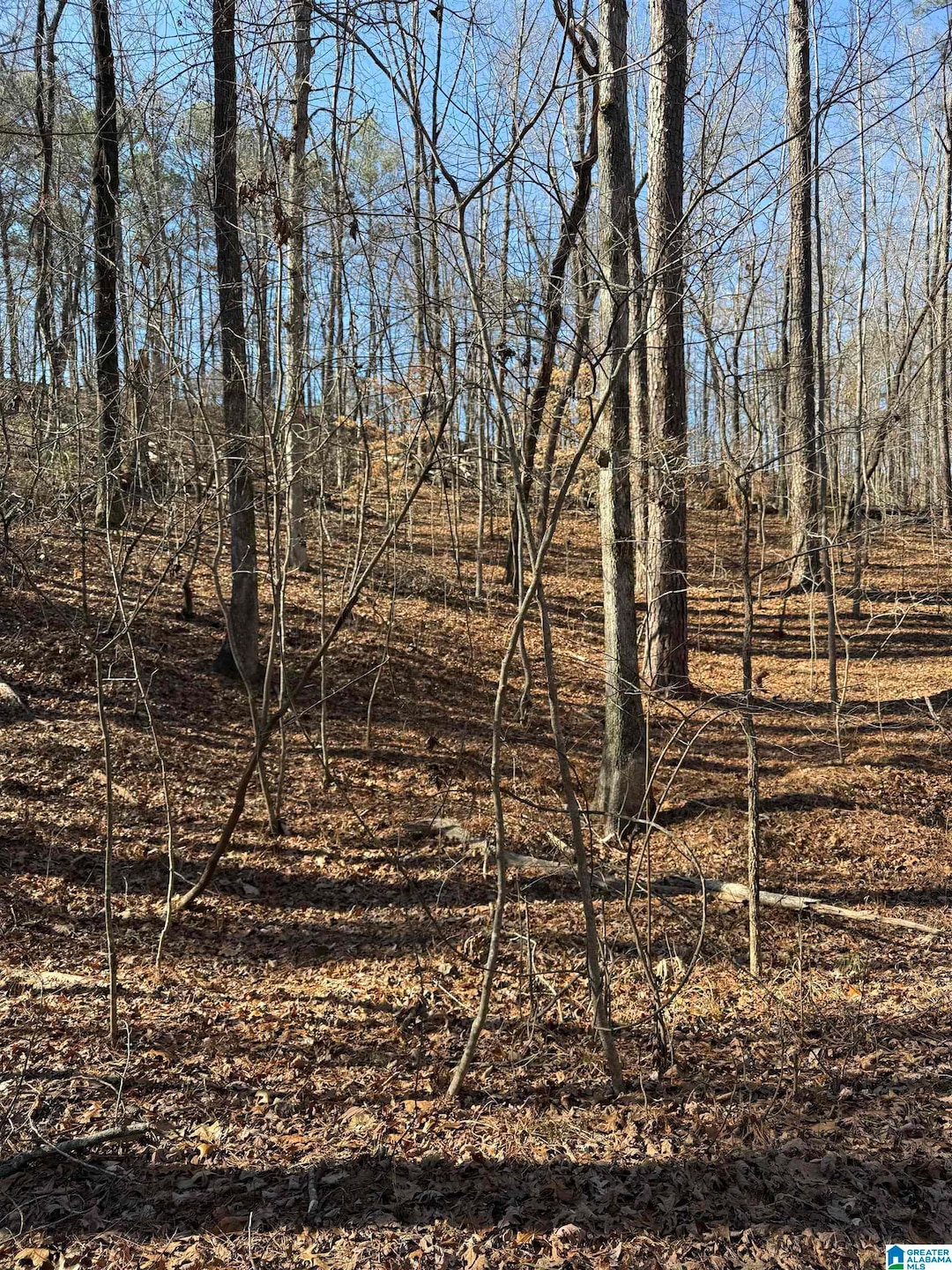 551 Oakmont Dr, Alabaster, AL 35007 - photo 1