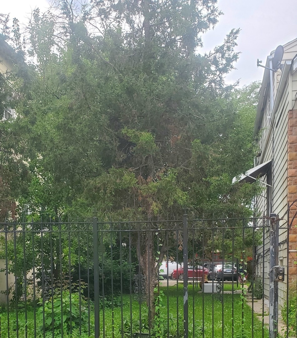 1748 N Harding Ave, Chicago, IL 60647 - photo 1