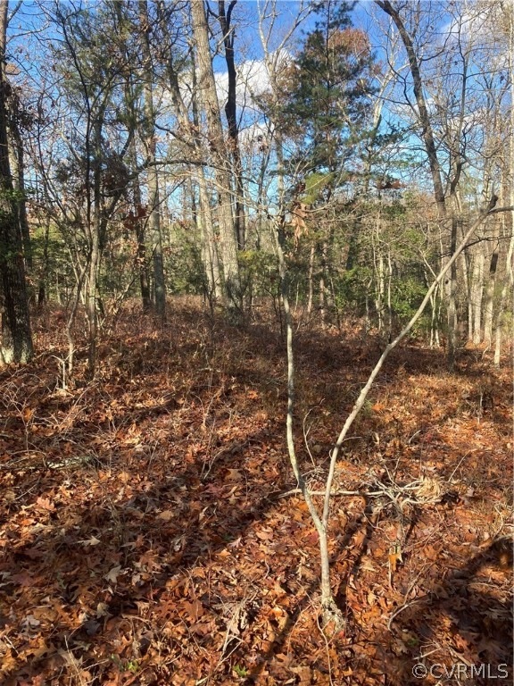 0 Dry Bridge Rd, Caroline, VA 22546 - photo 1