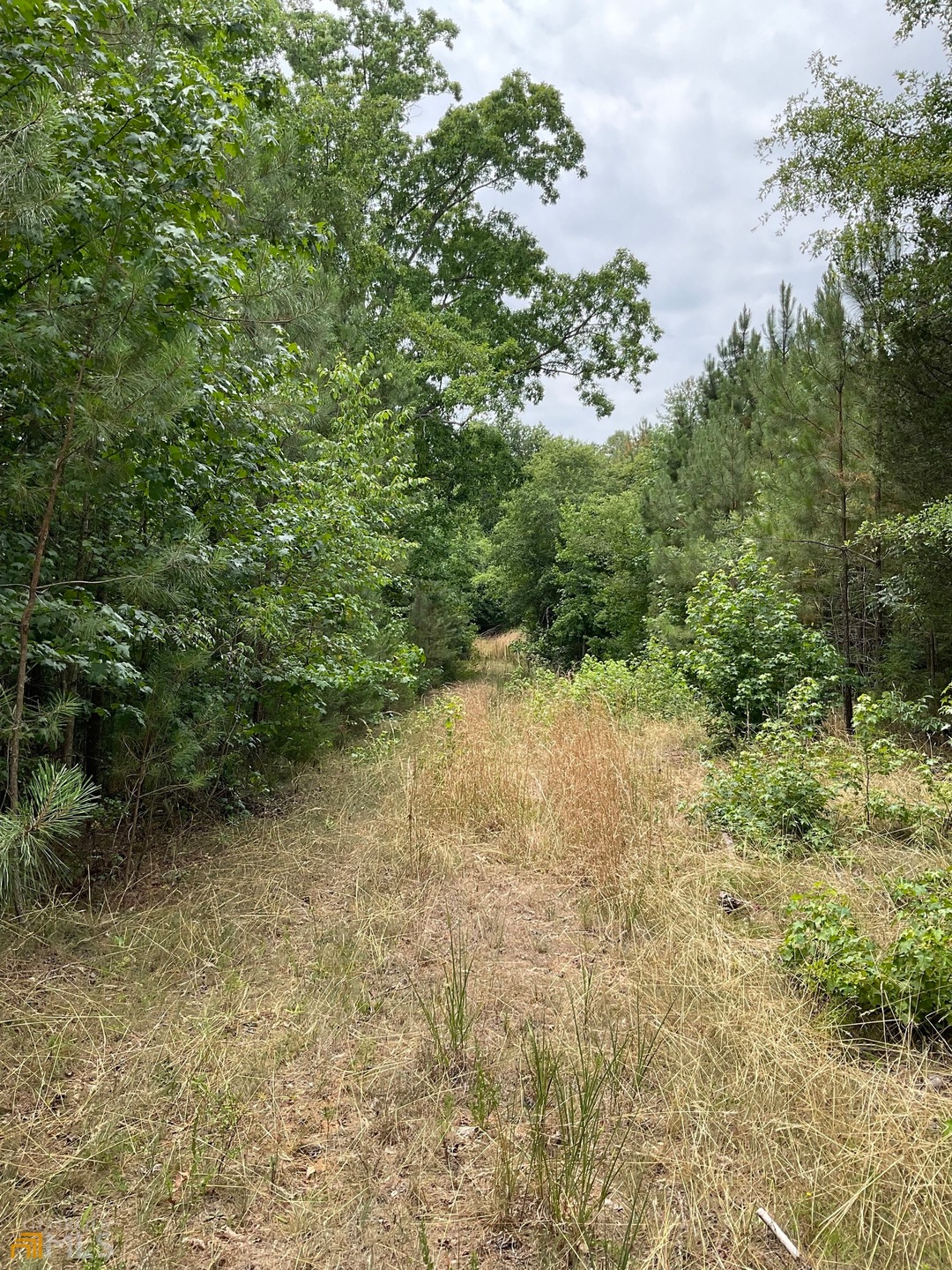 0 Brown Brothers Rd unit 10065188, Elberton, GA 30635 - photo 1