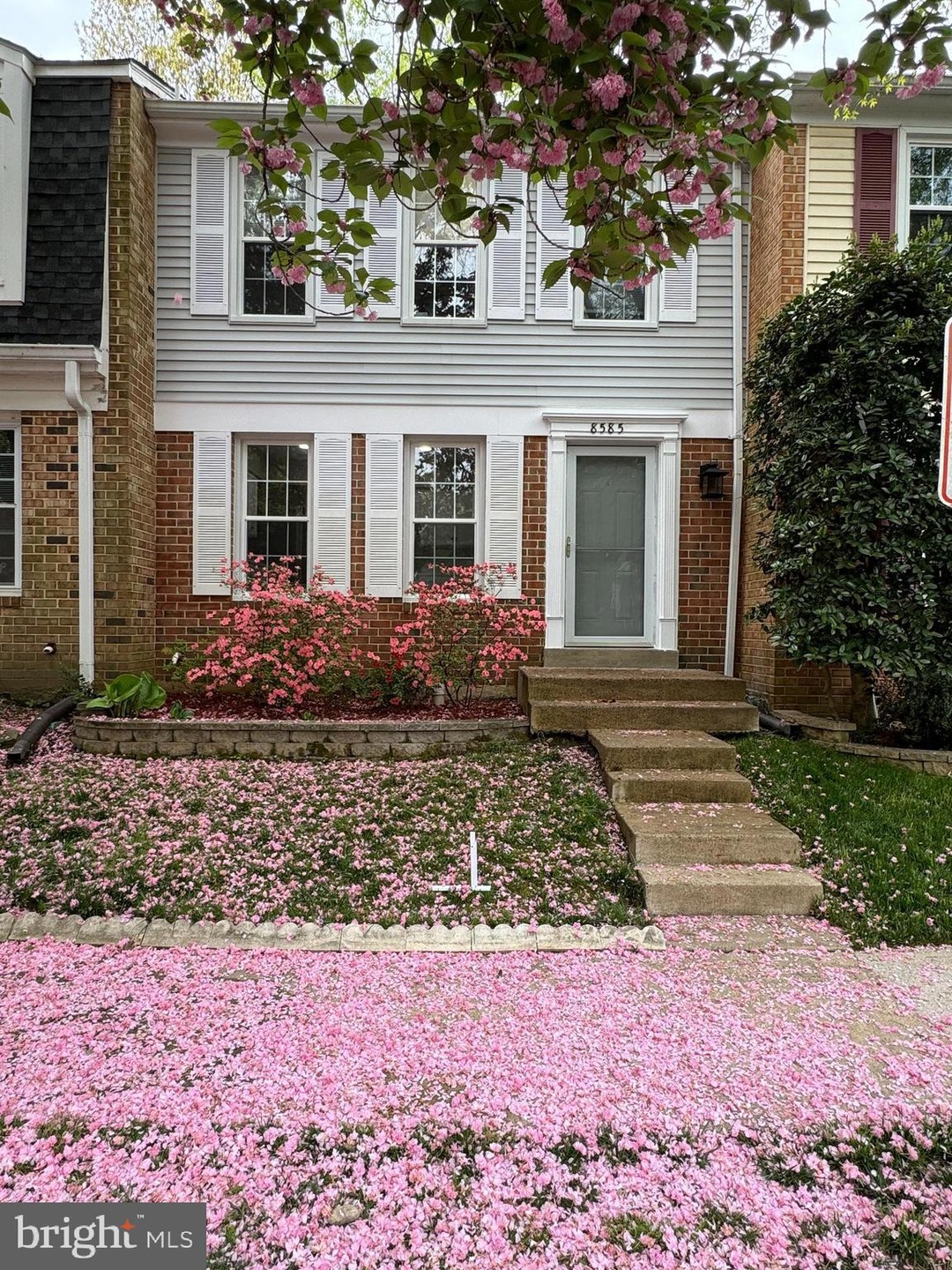 8585 Chester Grove Ct, Springfield, VA 22153 - photo 1