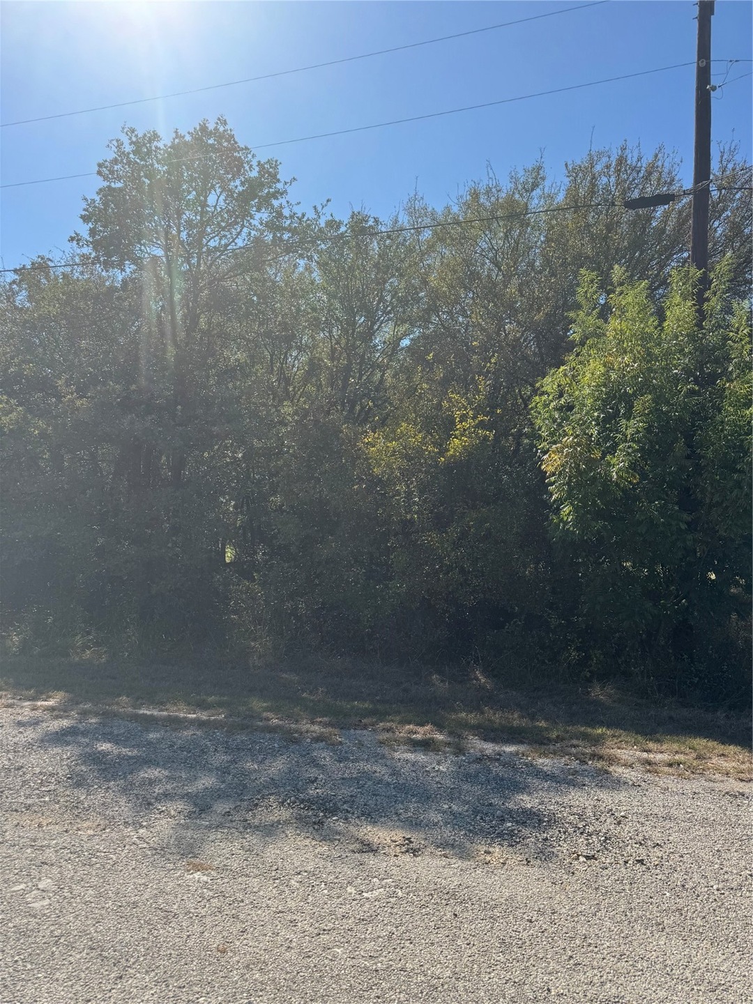 31008 Doe Run Ct, Whitney, TX 76692 - photo 1