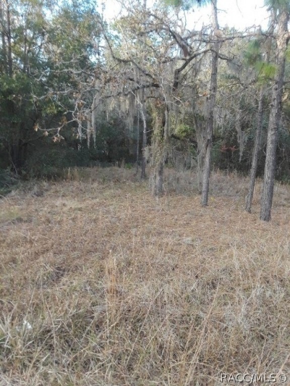 1925 E Dearborn Dr, Hernando, FL 34442 - photo 1