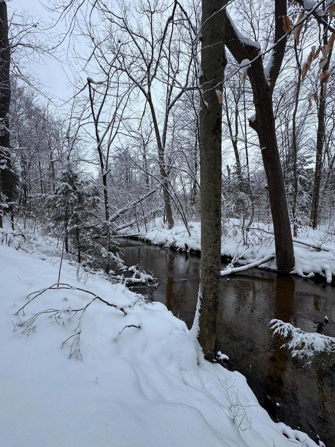 Scott Creek