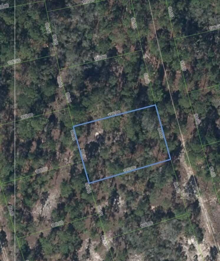 208 Sun Flower Dr, Lake Placid, FL 33852 - photo 1