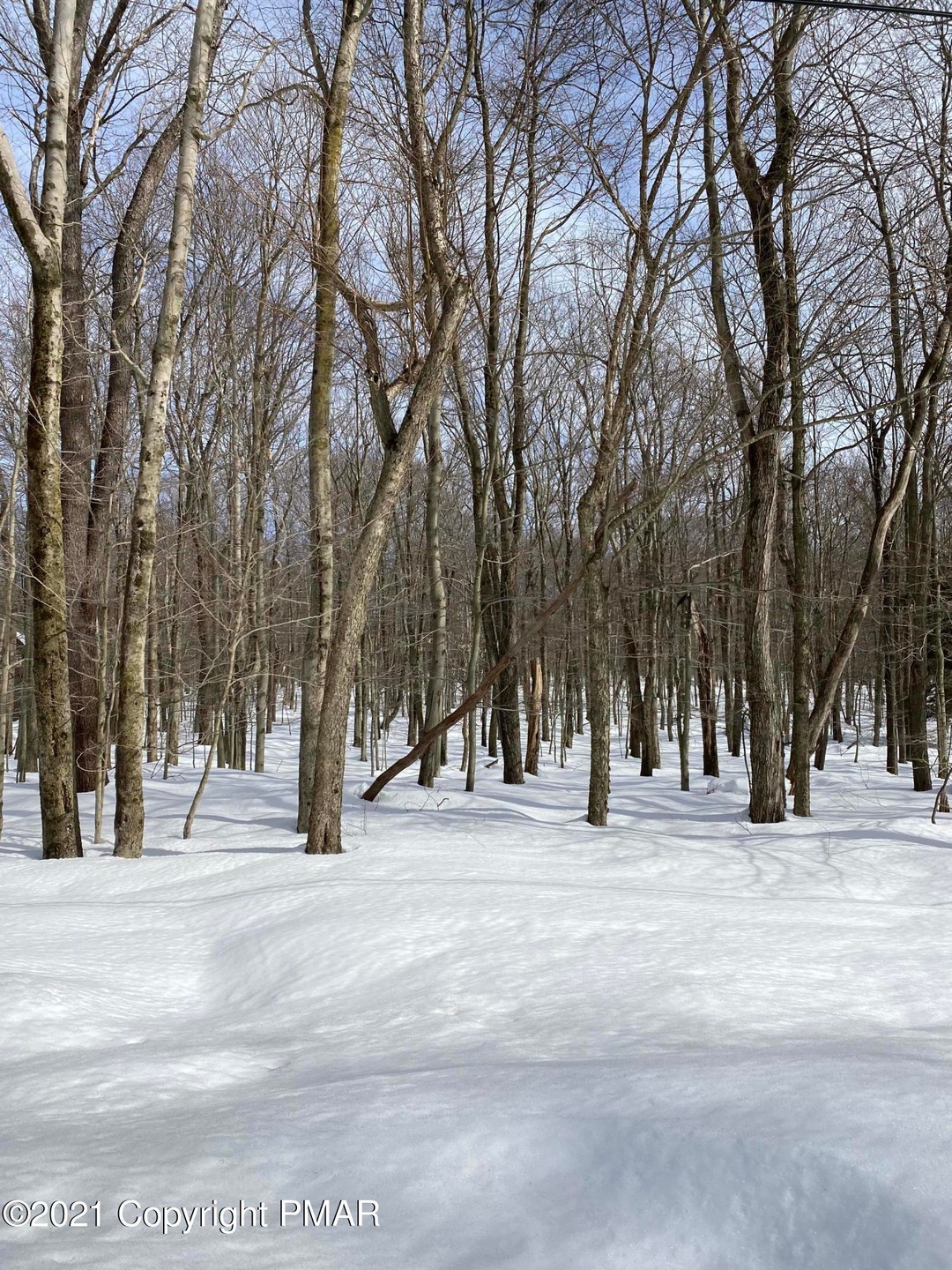 Lot 676 Raccoon Ct, Lehman Township, PA 18324 - photo 1