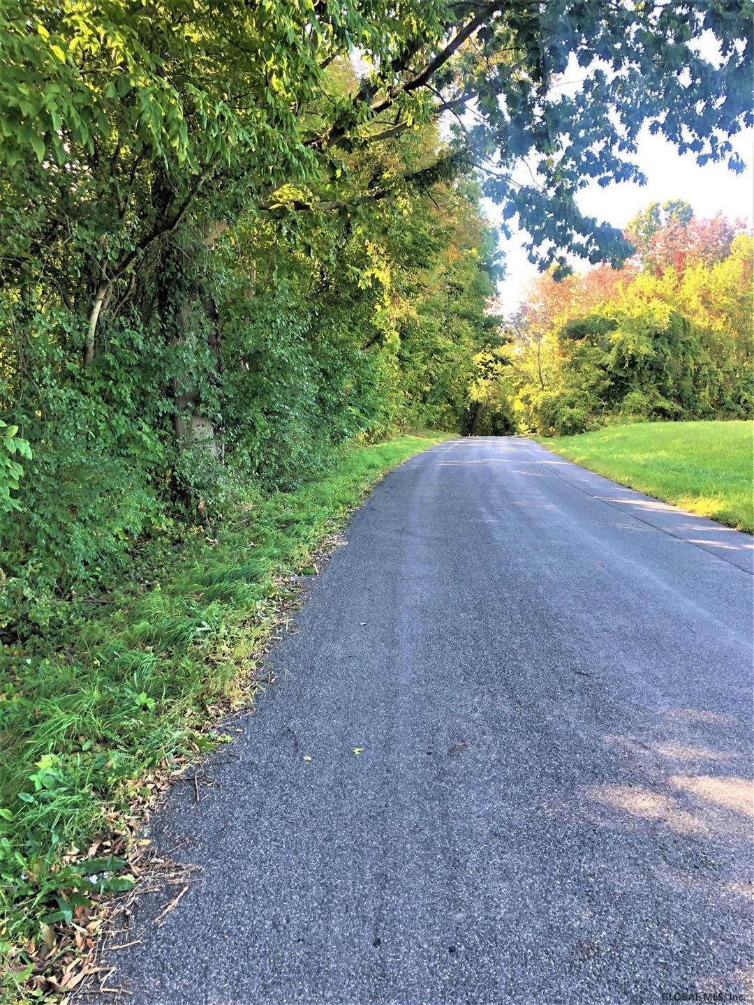 0 Southers Rd unit 202029107, Hudson, NY 12534 - photo 1