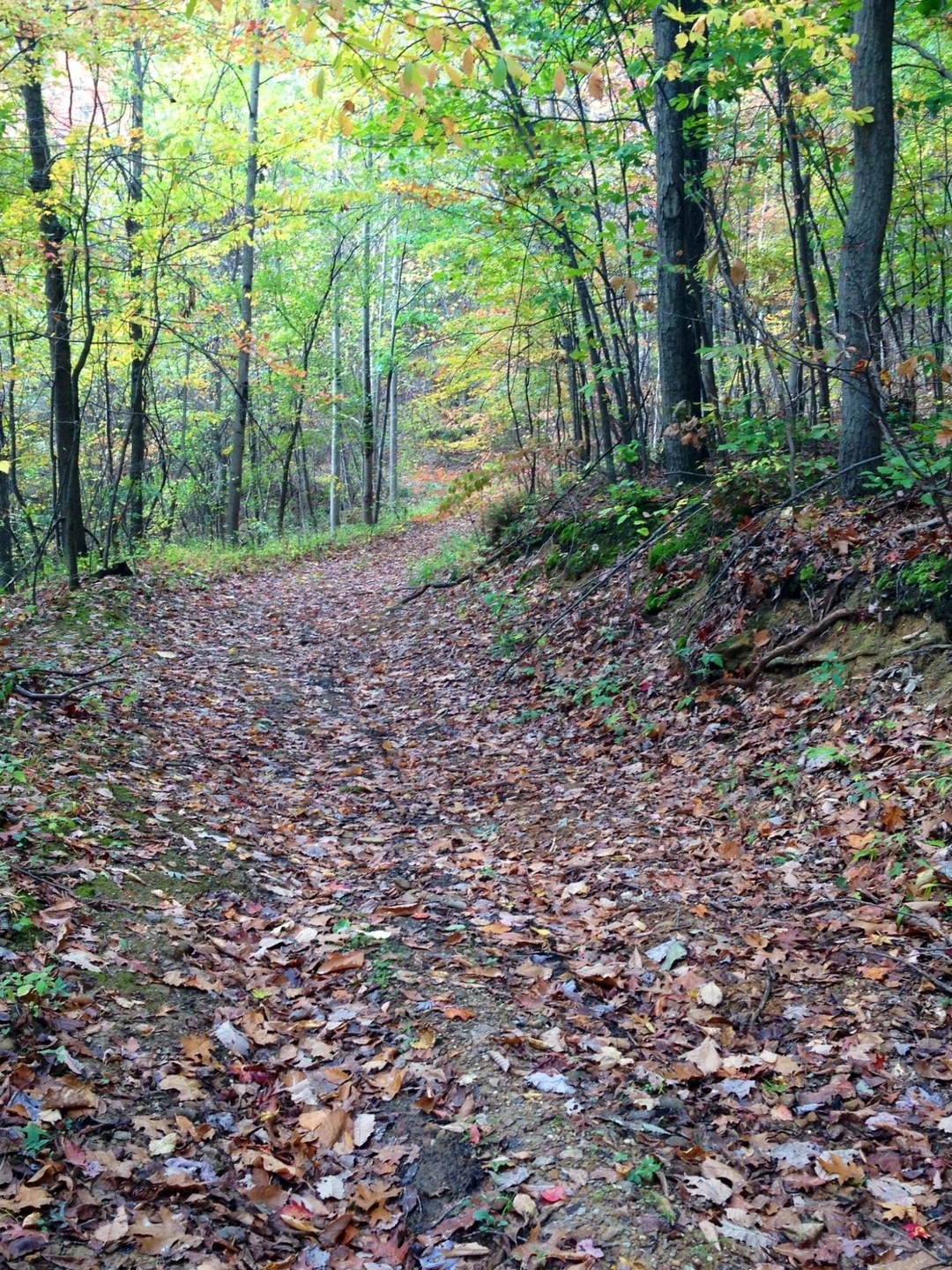 0 McGrery Rd SE unit LOT 5 214043944, Lancaster, OH 43130 - photo 1