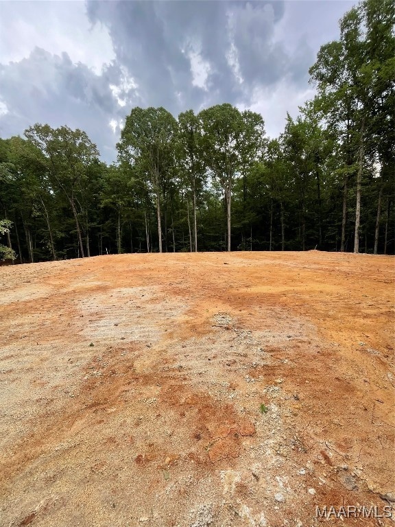 196 Venable Ct, Wetumpka, AL 36092 - photo 1