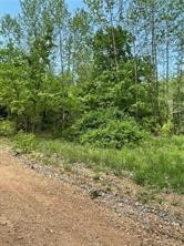 0 Arabian Dr unit 1311123, Rogers, AR 72756 - photo 1