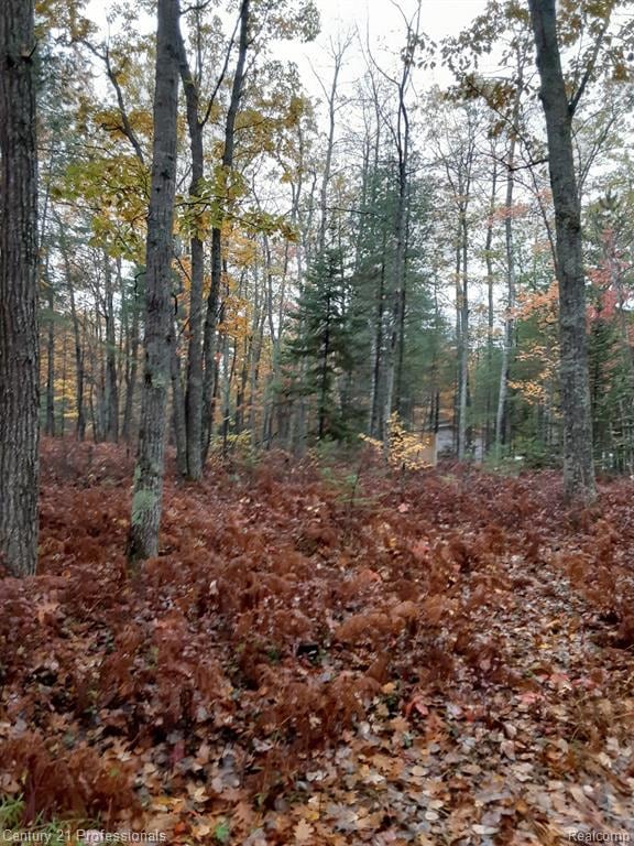 6710 Chippewa Trail, Rogers Township, MI 49779 - photo 1