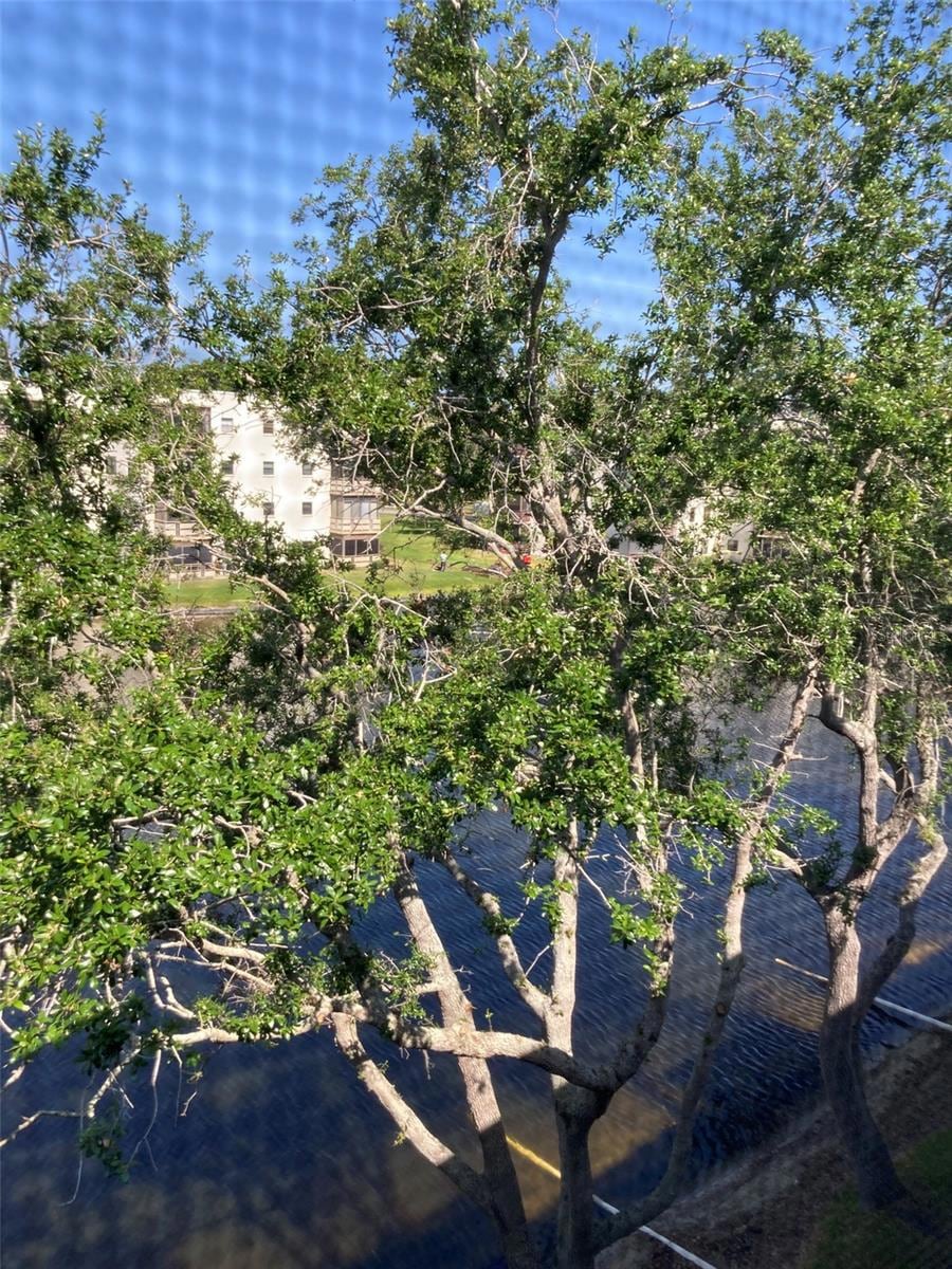 6080 80th St N unit 409, Saint Petersburg, FL 33709 - photo 1