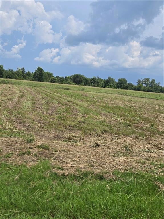 1209 Hampton Rd, Natchitoches, LA 71457 - photo 1