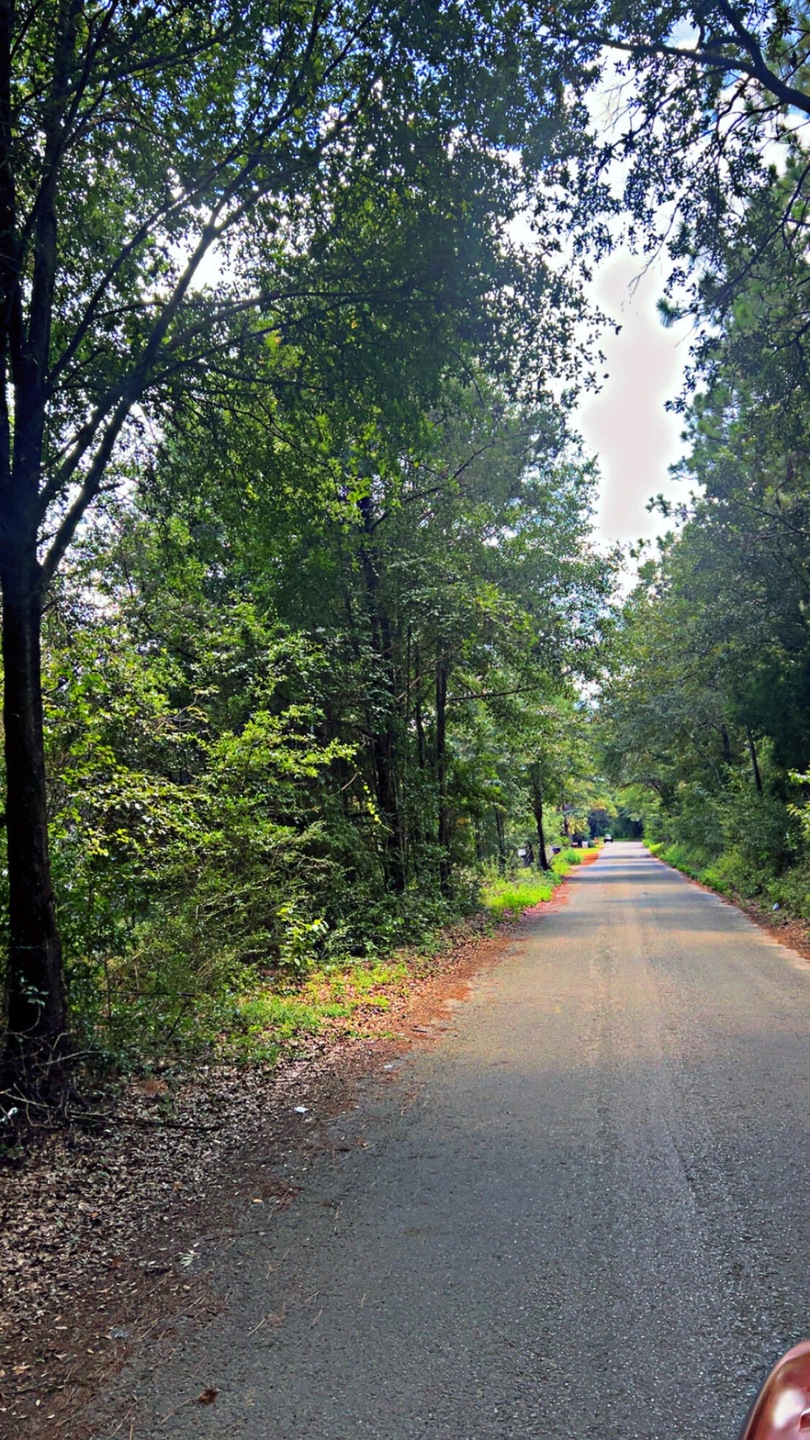 Pending $45,000 • Co-Listing Agent