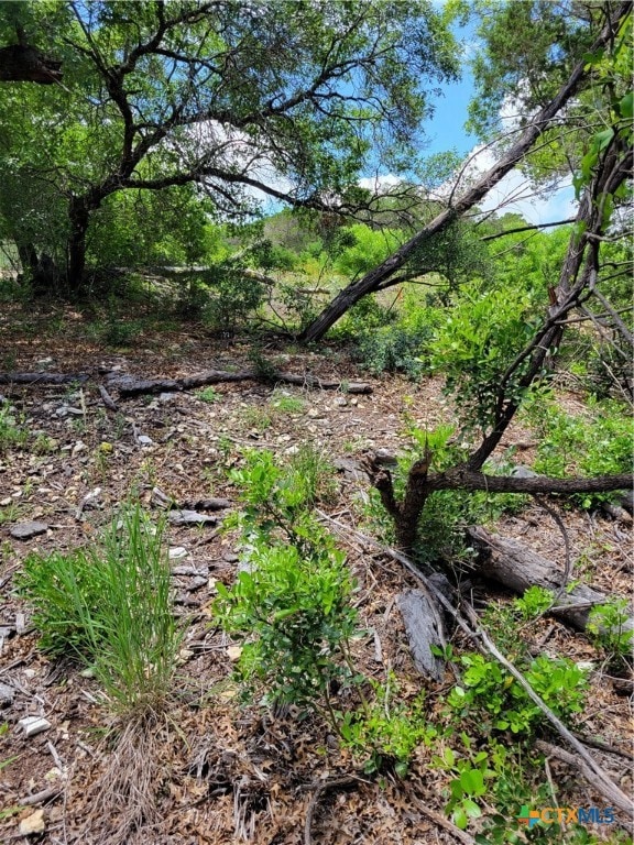 LOT 315 Pr 1745, Mico, TX 78056 - photo 1