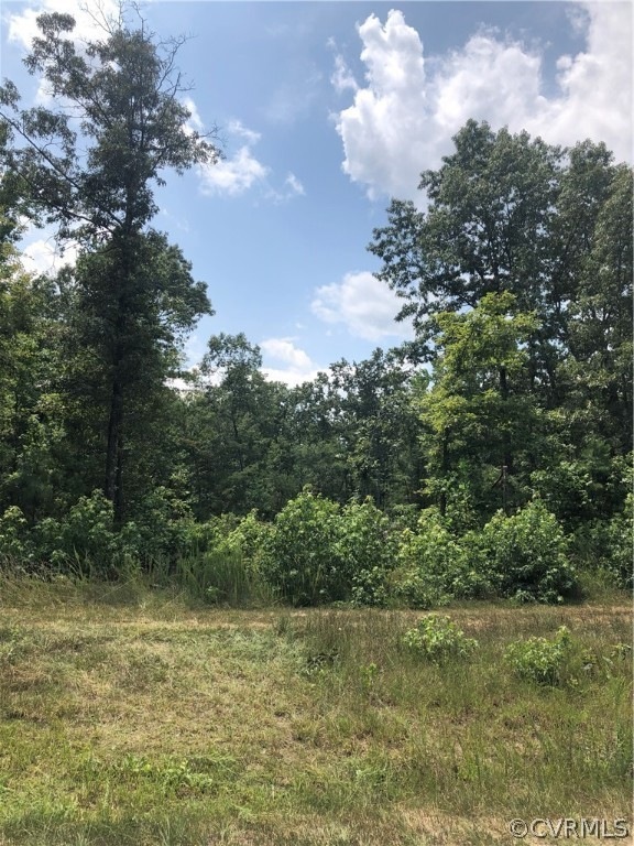 00 Dove Hollow Dr, Louisa, VA 23093 - photo 1