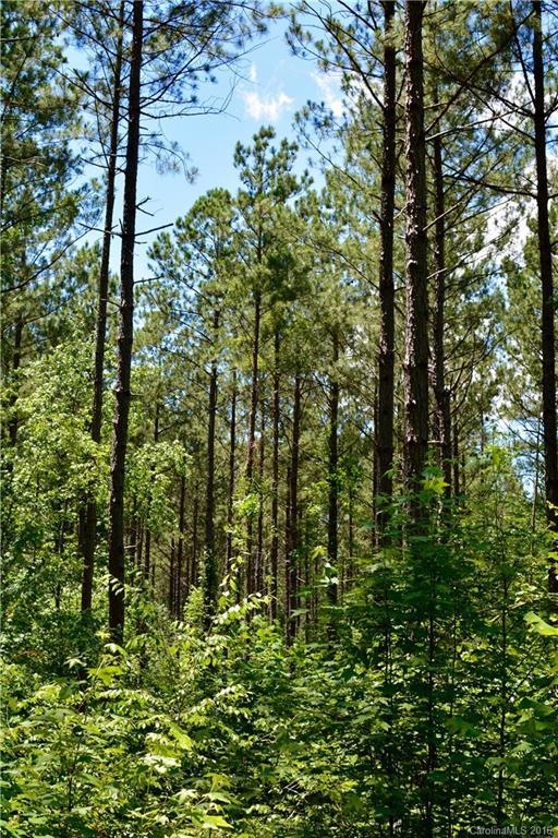 001 Vesuvius Furnace Rd unit 1, Ironton Township, NC 28080 - photo 1