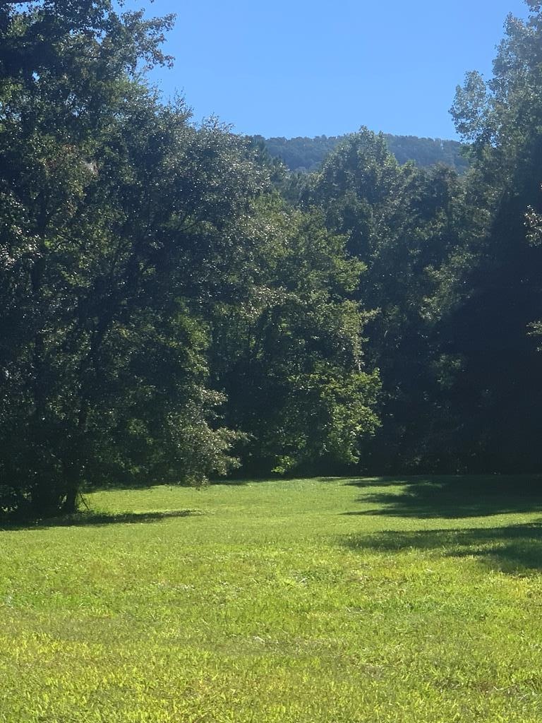 Main View
