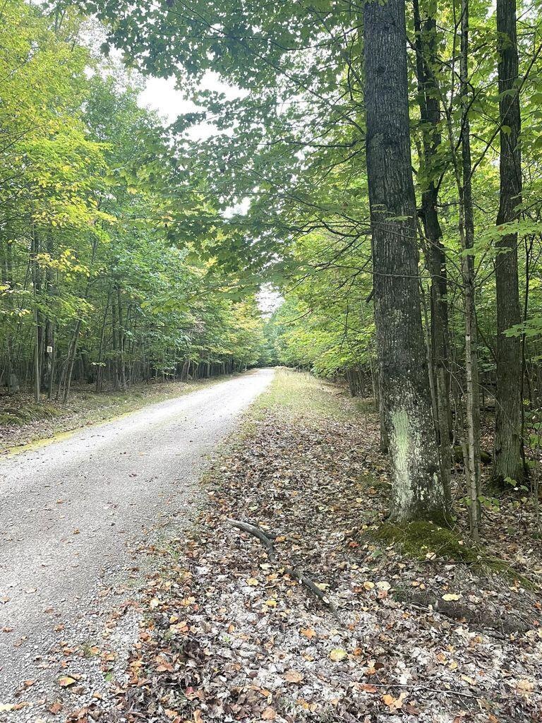 Sold $49,000 • Co-Listing Agent