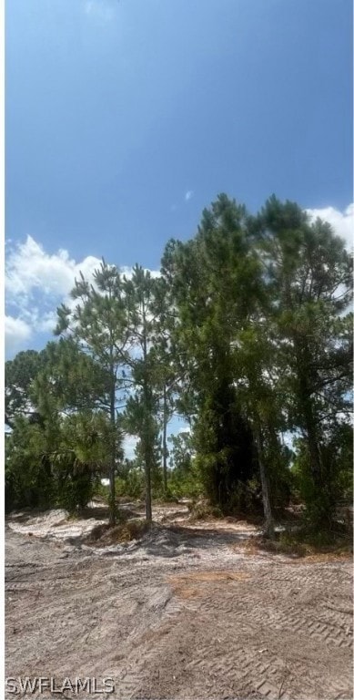 1104 Hallmark Ave, Lehigh Acres, FL 33974 - photo 1