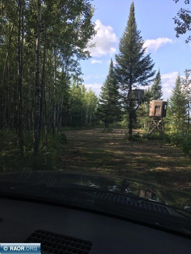 TBD Arkola Rd, Toivola, MN 55765 - photo 1