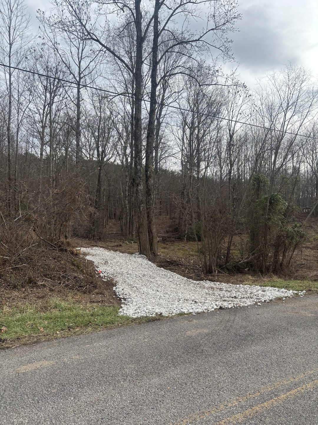 0 Browns Hollow Rd unit RTC3054618, Tracy City, TN 37387 - photo 1