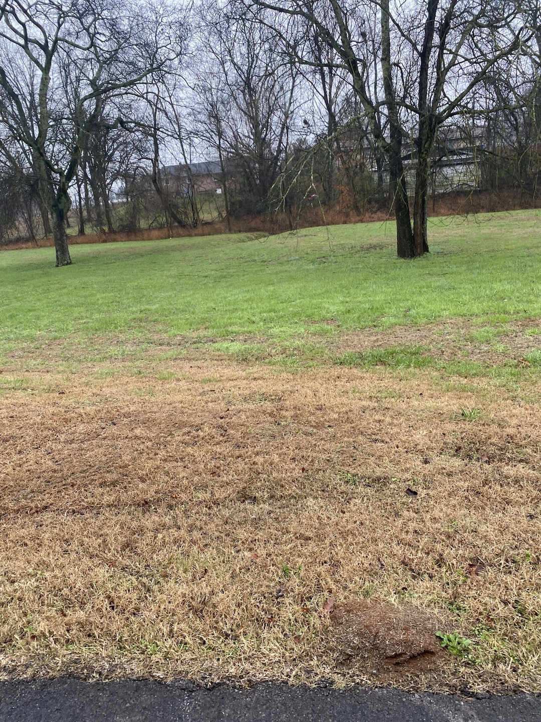 109 Mimi Cir, Pulaski, TN 38478 - photo 1