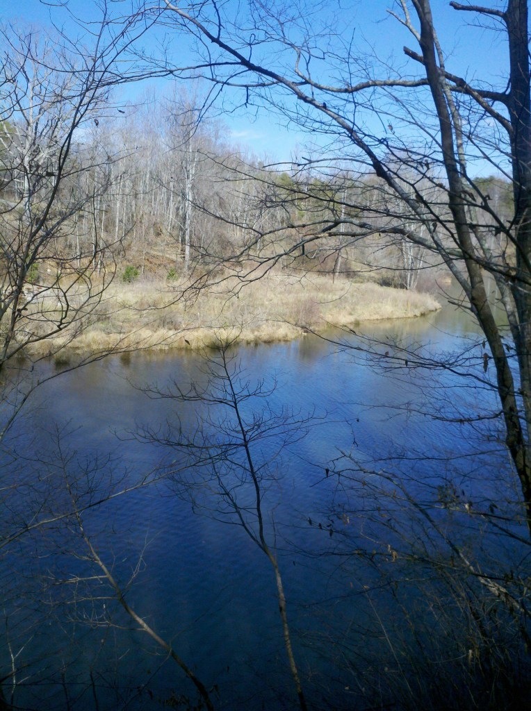 Waterfront Acreage
