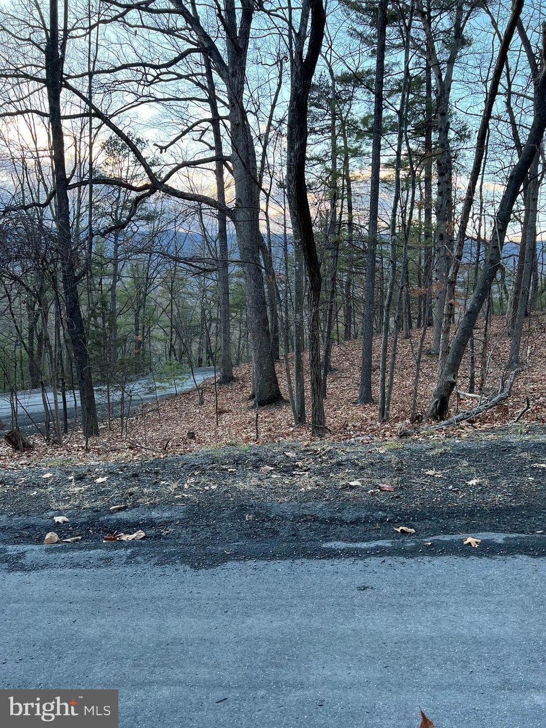 0 Pheasant Dr unit VASH2007808, Basye, VA 22810 - photo 1