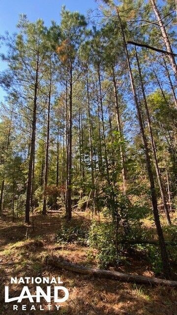 0 Sailor Rd, Creola, AL 36525 - photo 1