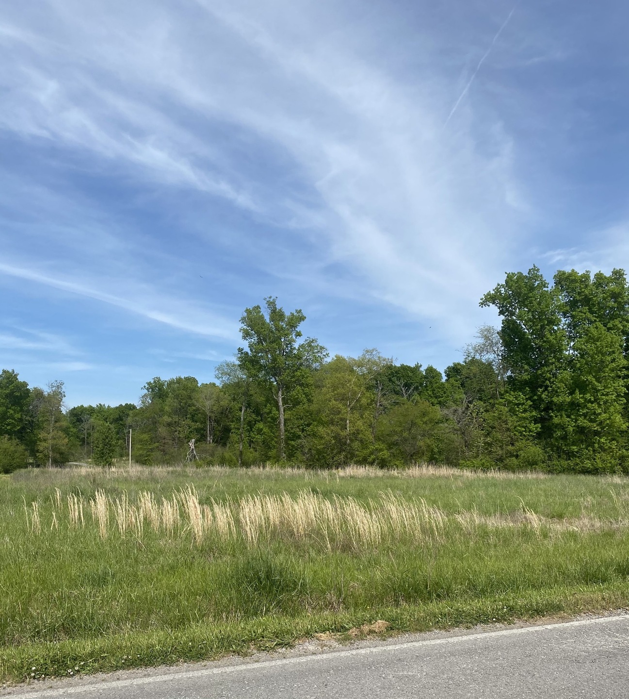 Sold $150,000 • Co-Listing Agent