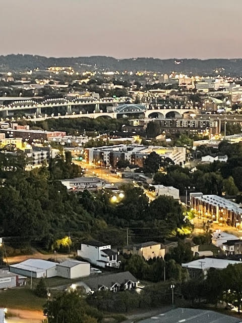 Pinnacle 9G city