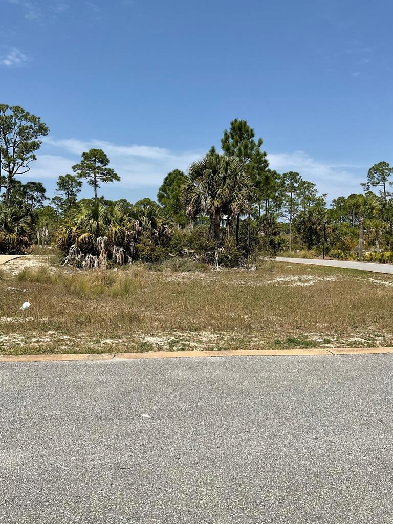 Lot 47 Jubilation Dr, Cape San Blas, FL 32456 - photo 1