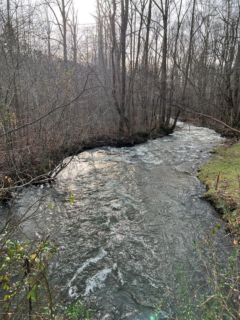 Lots 9 10 11 15 & 17 Mary Ln, Hayesville, NC 28904 - photo 1