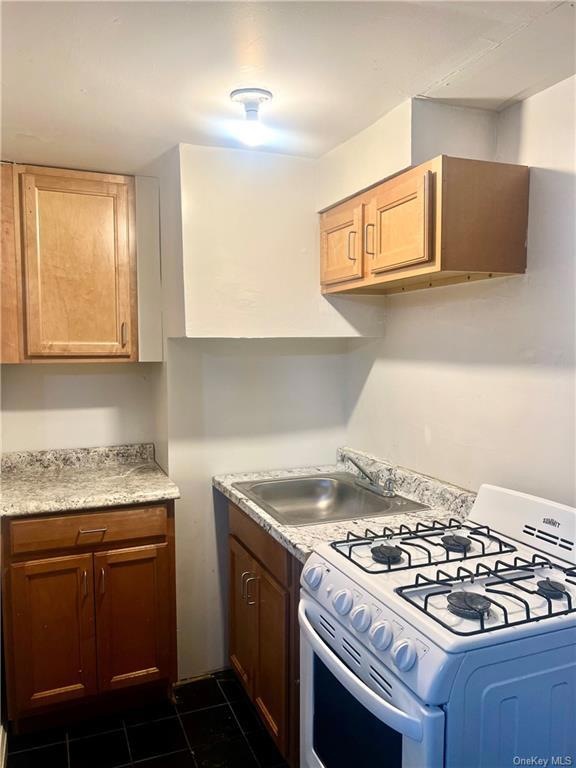 170 Bakertown Rd unit Lower level, Highland Mills, NY 10930 - photo 1