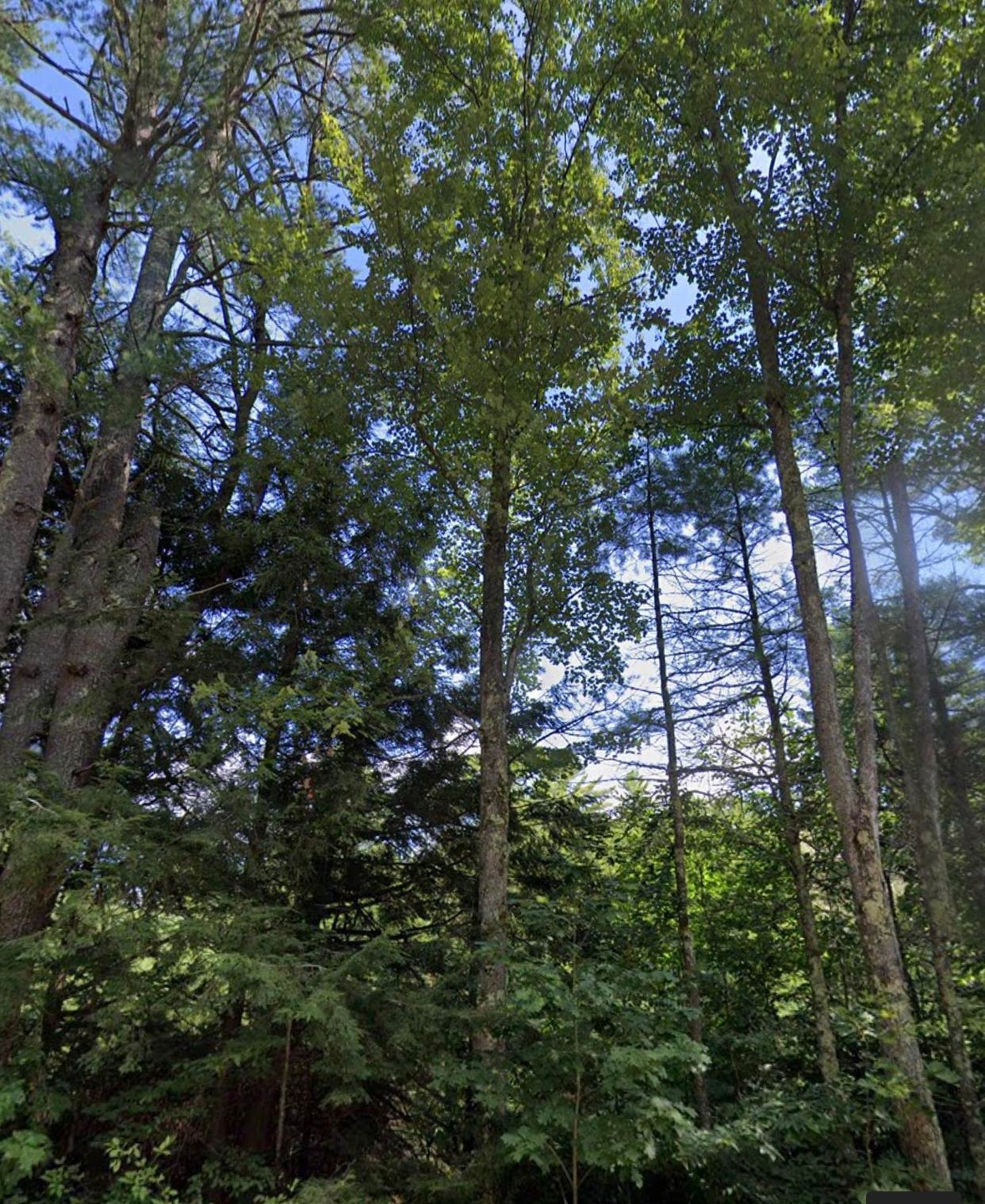 316 Deerfield Rd, Allenstown, NH 03275 - photo 1