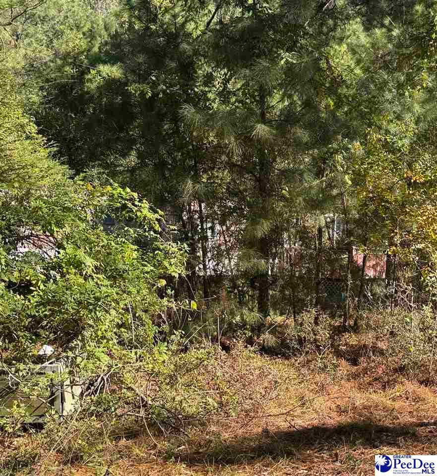 575 Green Bay Dr, Andrews, SC 29510 - photo 1