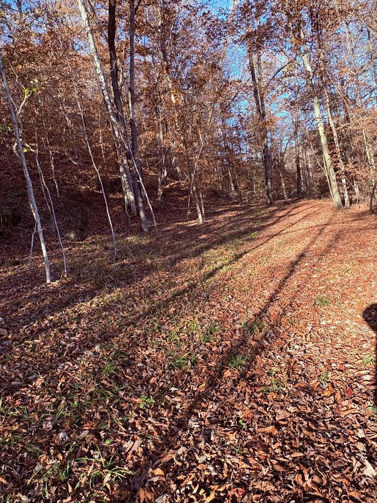 0 None unit 126826, Hager Hill, KY 41222 - photo 1