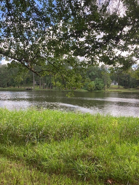 2534 Blue Lake Dr, Magnolia, TX 77354 - photo 1