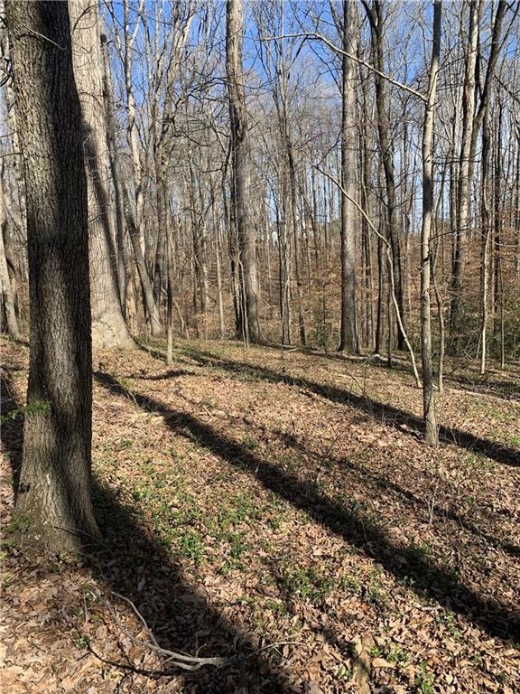 0 Freehome Hwy unit 7350921, Canton, GA 30115 - photo 1