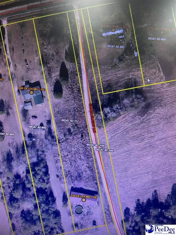 510 State Road S-21-88, Pamplico, SC 29583 - photo 1