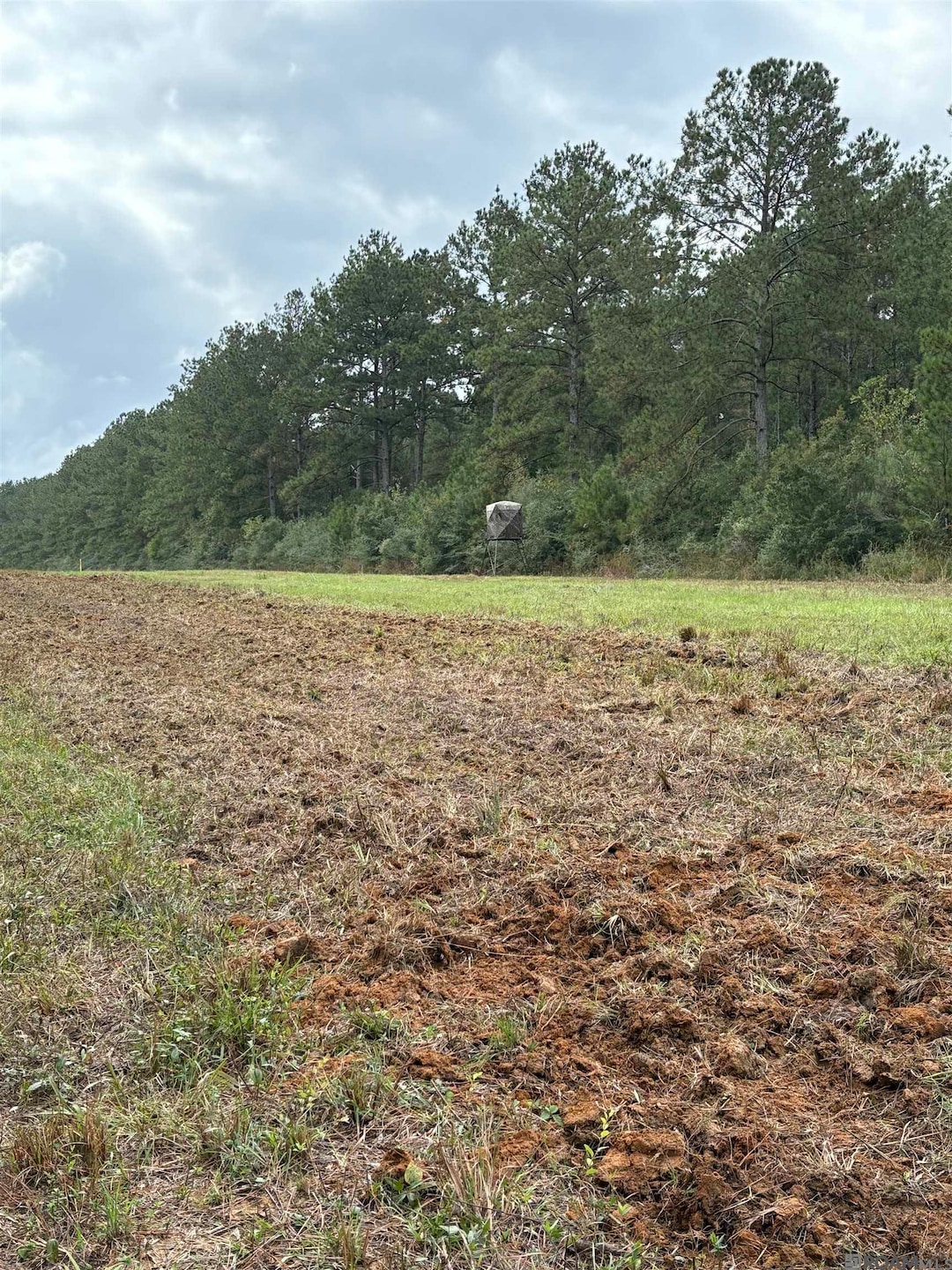 TBD Aunt Margies Rd, Greensburg, LA 70441 - photo 1