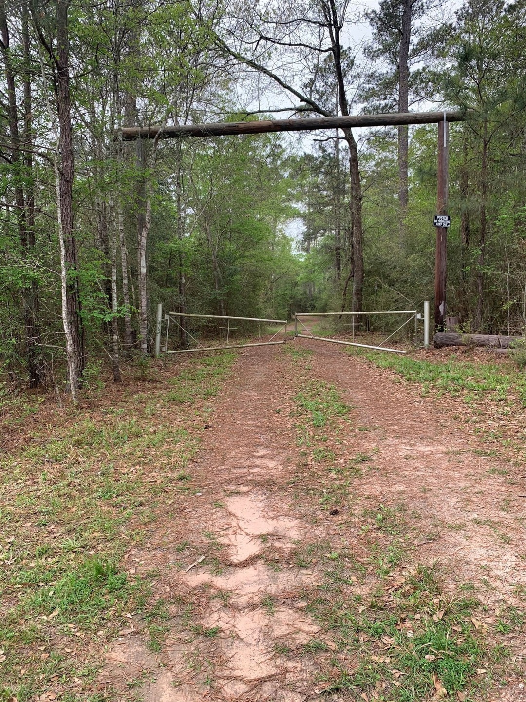 00001 Coe Loop, Magnolia, TX 77355 - photo 1
