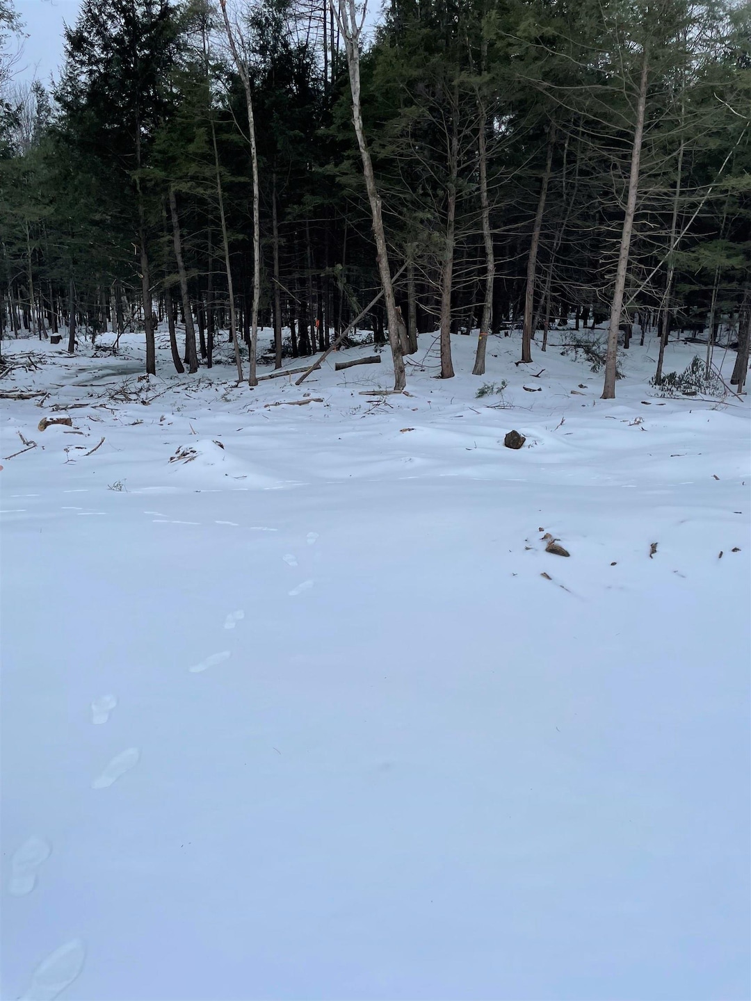 H2-5-1 Ray Rd, Dunbarton, NH 03046 - photo 1