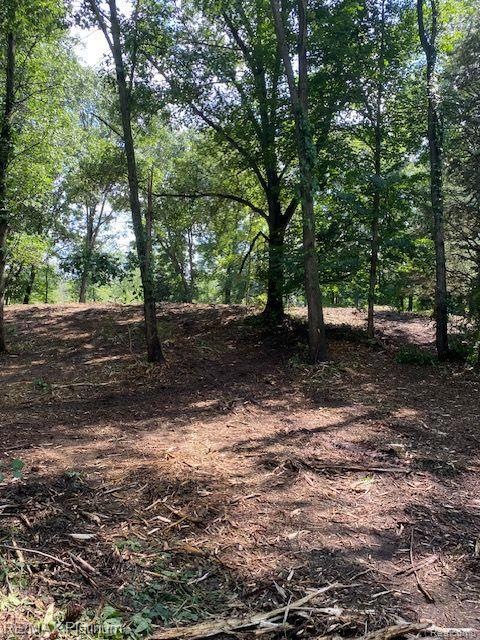 Check out these beautiful 5 acres of BEAUTY!