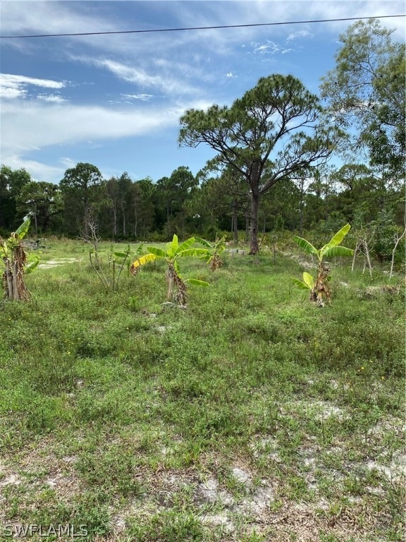 11891 Oscoda Ct, Pine Island Center, FL 33922 - photo 1